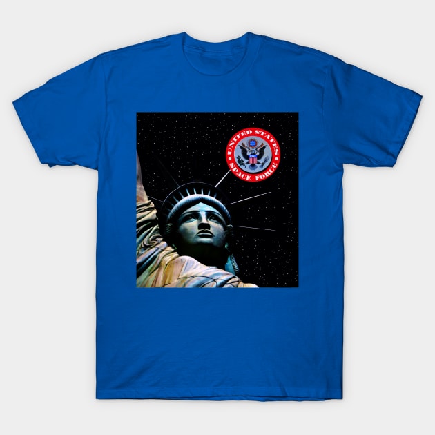 USSF and lady liberty T-Shirt by dltphoto